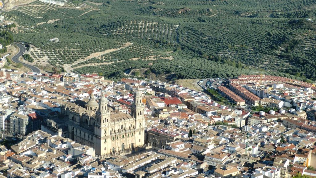 diseño web para empresas de Jaén