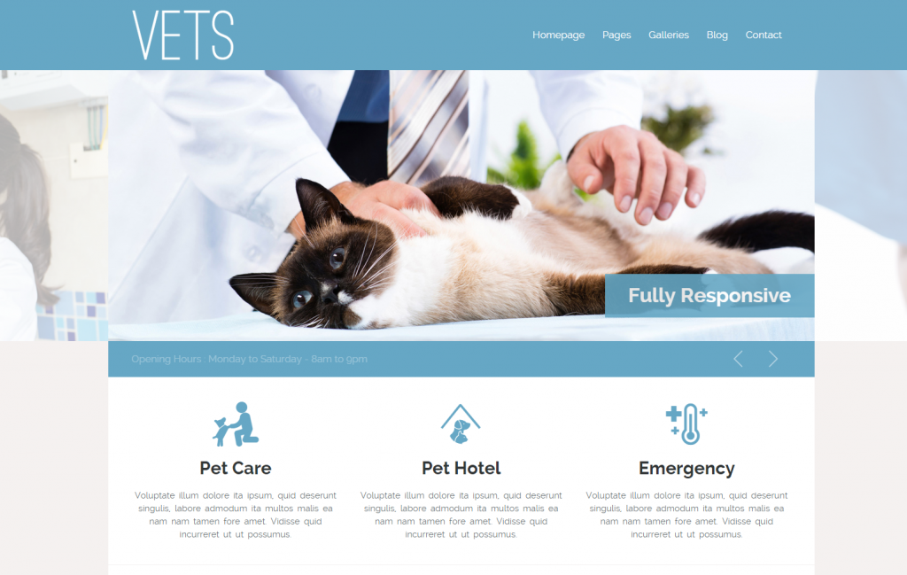 diseno-web-clinica-veterinaria