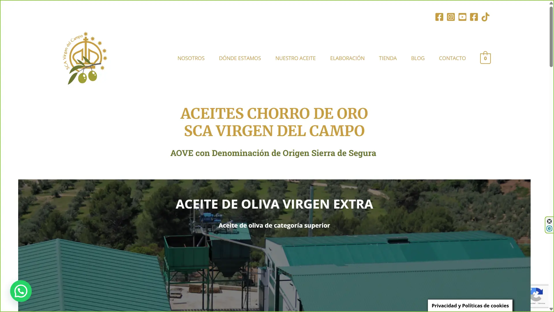 Diseño de tienda online de aceite de oliva virgen extra DO Sierra de Segura