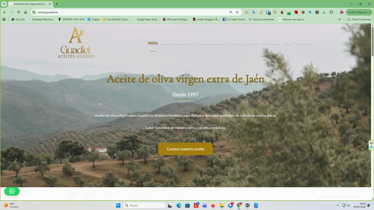 diseno-web-jaen-aceites-guadiel