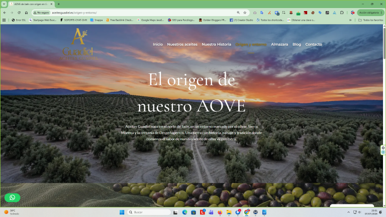 diseno-web-jaen-aceites-guadiel-entorno