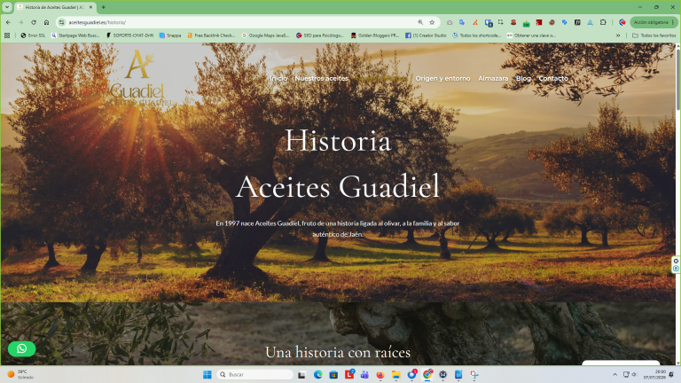 diseno-web-jaen-aceites-guadiel-historia
